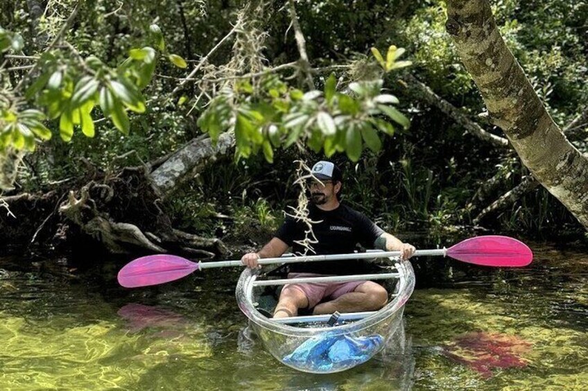 Private Crystal Clear 2 HR Kayak/Paddle Rental on Rainbow River