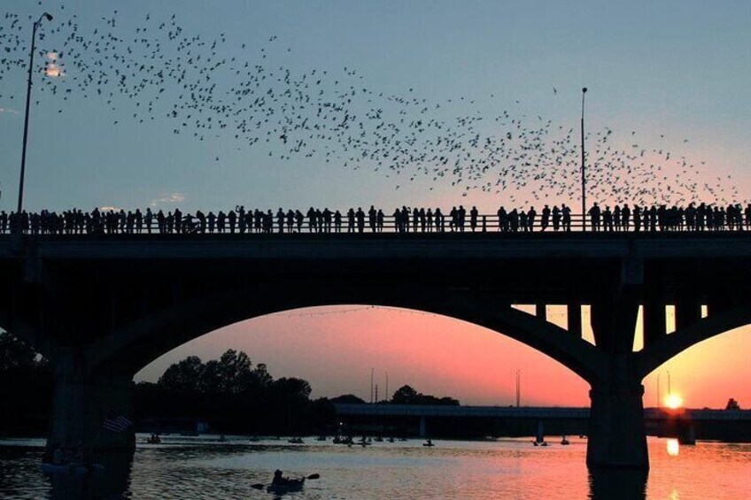 Congress Bridge Boat Tour 