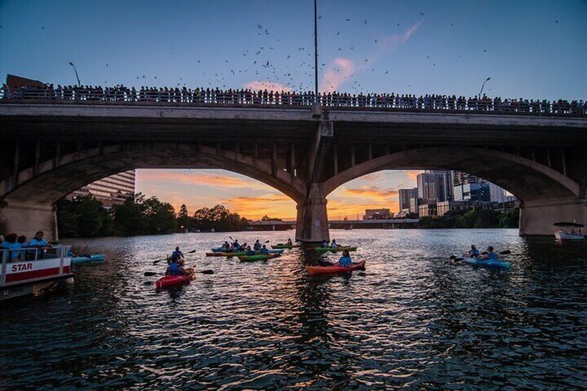 Congress Bridge Boat Tour 