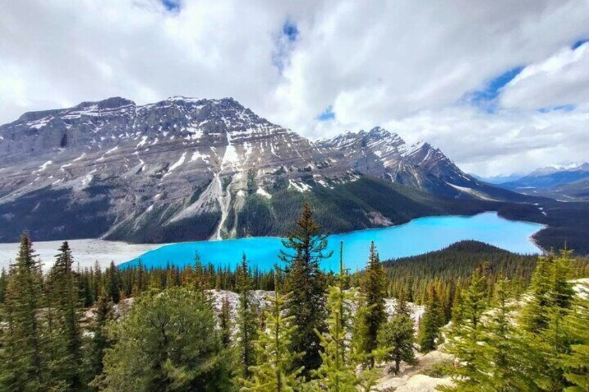  1 Day Tour of Banff Lake Louise, Moraine Lake and Peyto Lake