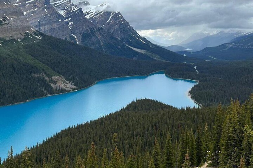  1 Day Tour of Banff Lake Louise, Moraine Lake and Peyto Lake