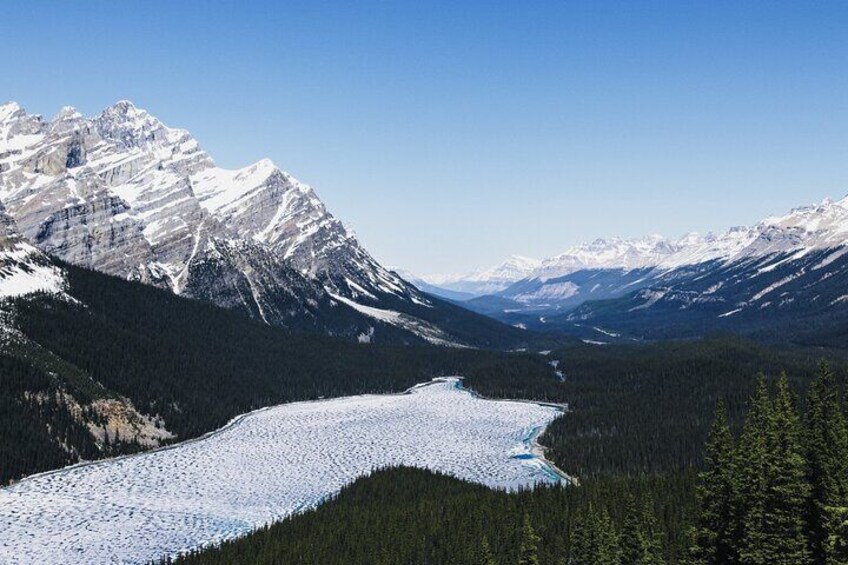 Lake Louise Peyto Lake and Crowfoot Glacier from Banff Day Tour