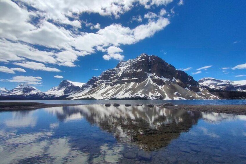 Lake Louise, Moraine Lake, Peyto Lake, Crowfoot Tour from Banff