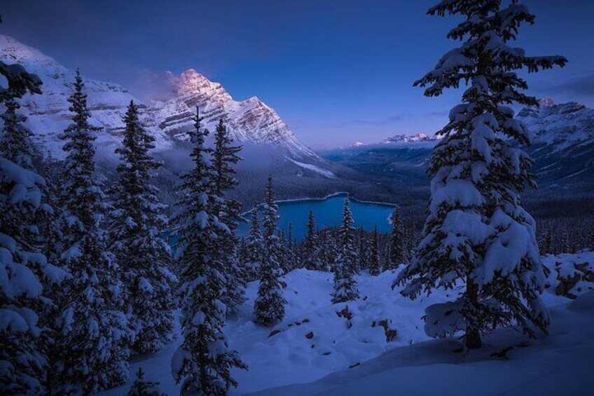 Lake Louise Peyto Lake and Crowfoot Glacier from Calgary Day Tour
