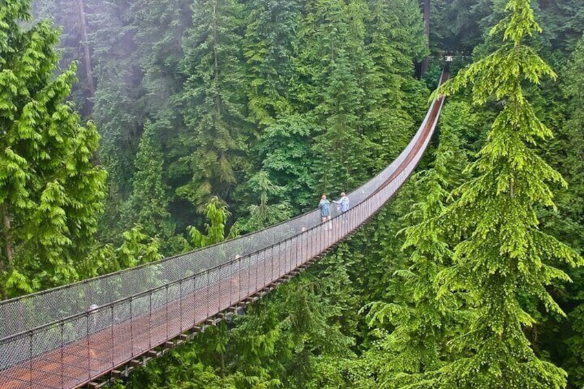 Prospect Point Lookout Capilano Horseshoe Bay tour on the city