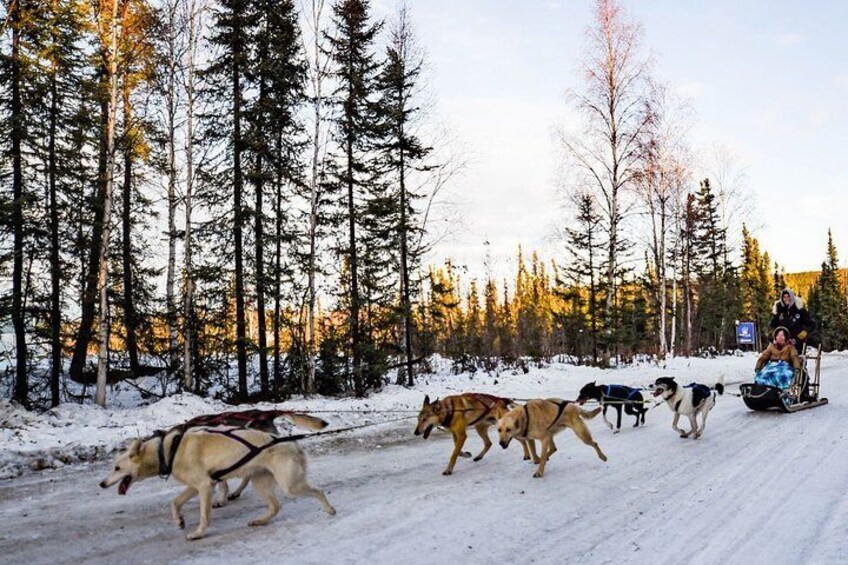 Take off right next to the main lodge of Borealis Basecamp!