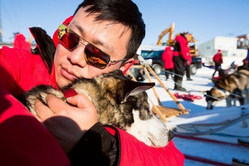 One Hour Experience Dog Sledding