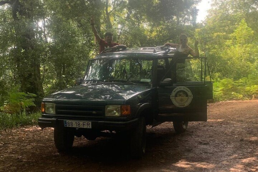 Jeep Tour on the East Coast, Pico do Arieiro - Full Day