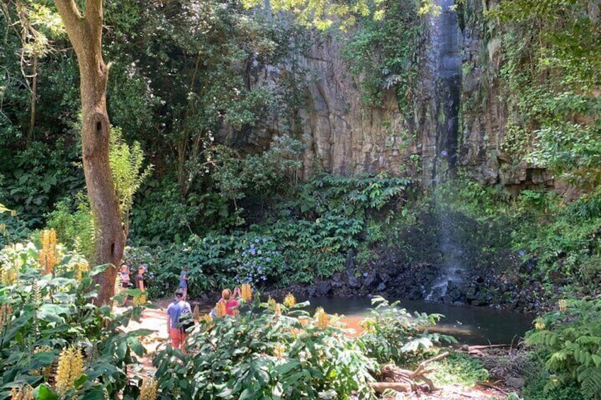 Jeep Tour on the East Coast, Pico do Arieiro - Full Day