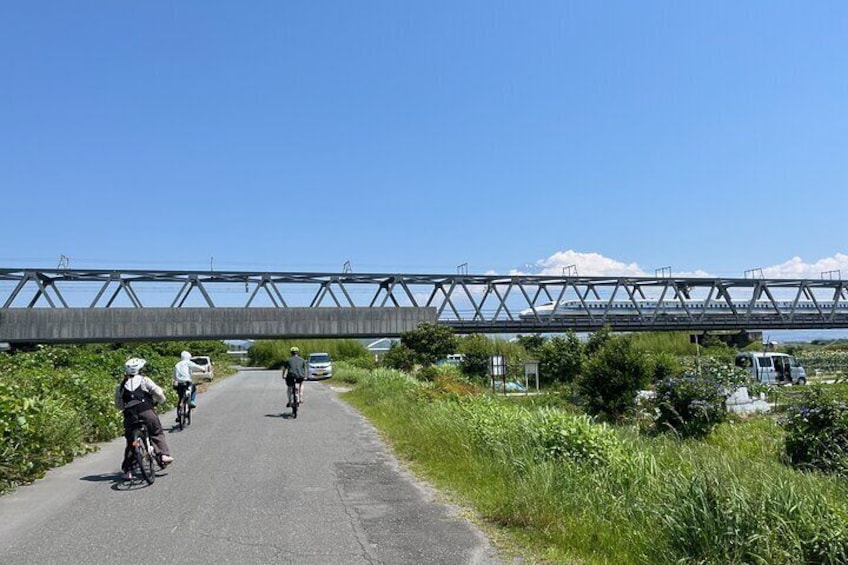 Mt. Fuji Historical Village E-Bike Tour