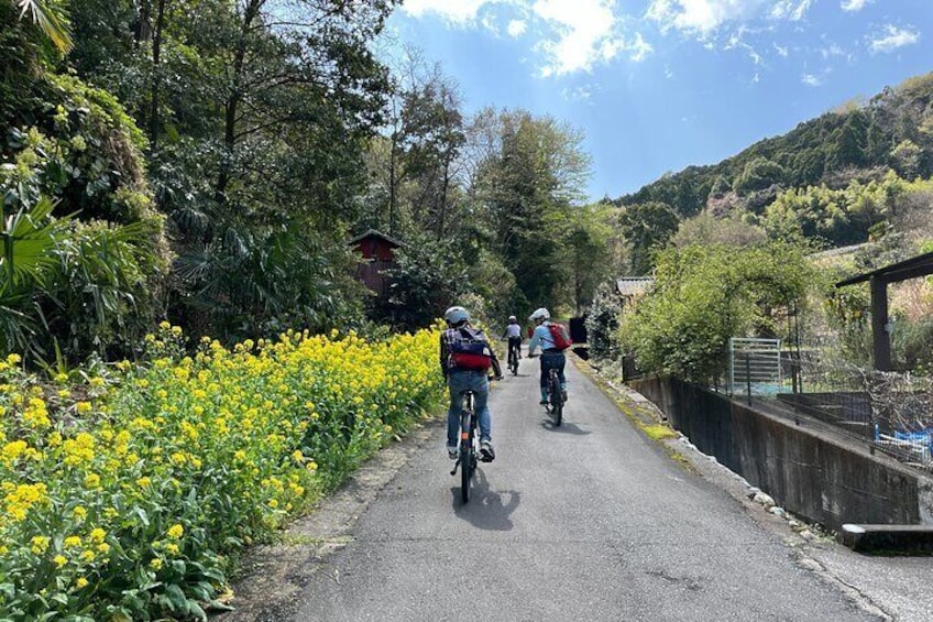 Mt. Fuji Historical Village E-Bike Tour