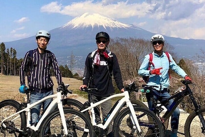 Mt. Fuji Historical Village E-Bike Tour