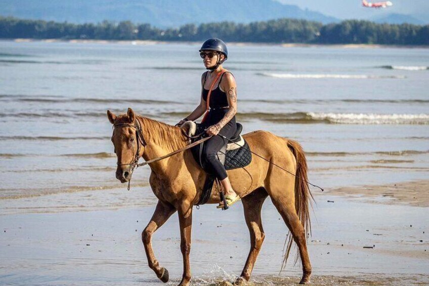 Sunset Beach Horseback Ride Phuket