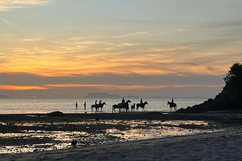 Sunset Beach Horseback Ride Phuket