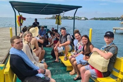 Chocolate factory, Mangrove tour, food tasting and Snorkeling