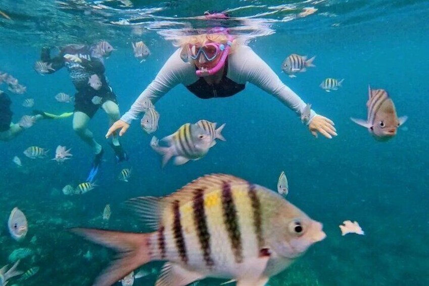 Mangrove tour Lunch and Snorkeling Adventure 