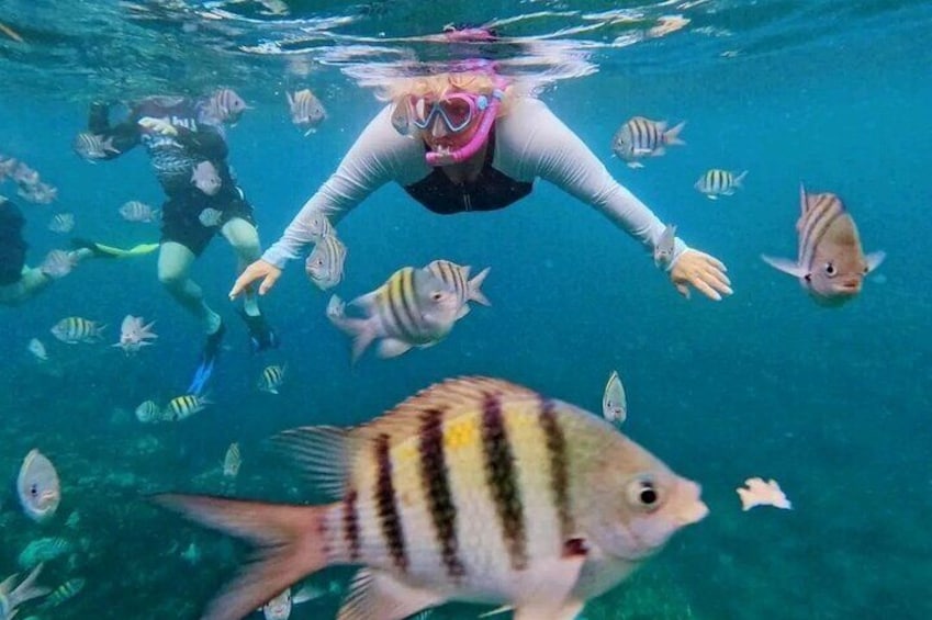 Mangrove tour Lunch and Snorkeling Adventure