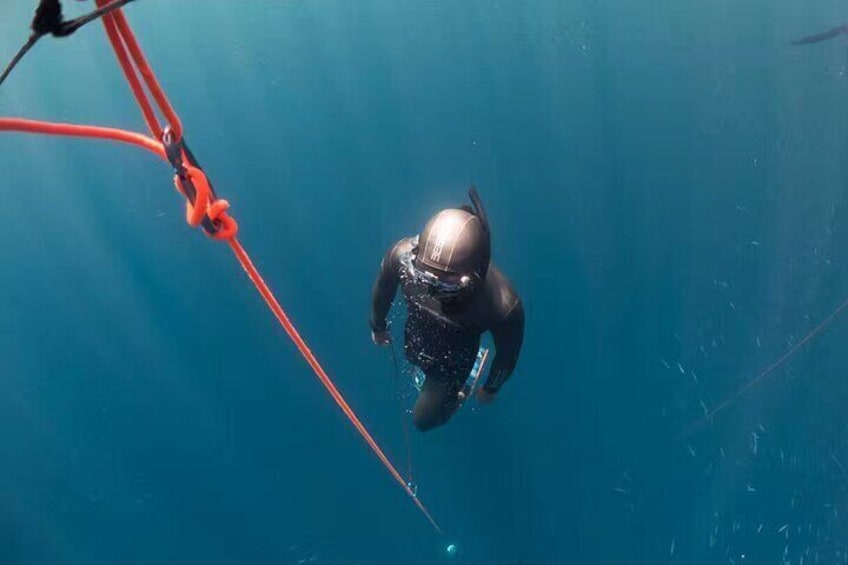 Beginner Freediving Course (with Bonus Session)