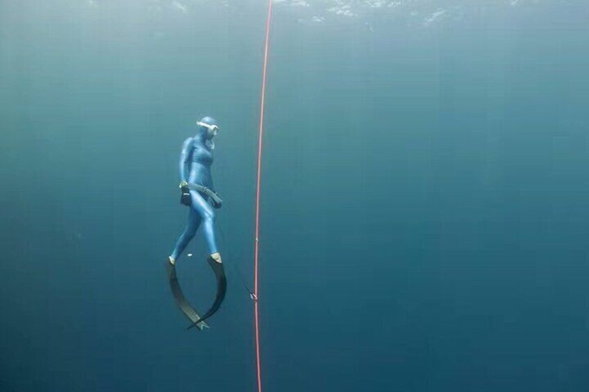 Beginner Freediving Course (with Bonus Session)