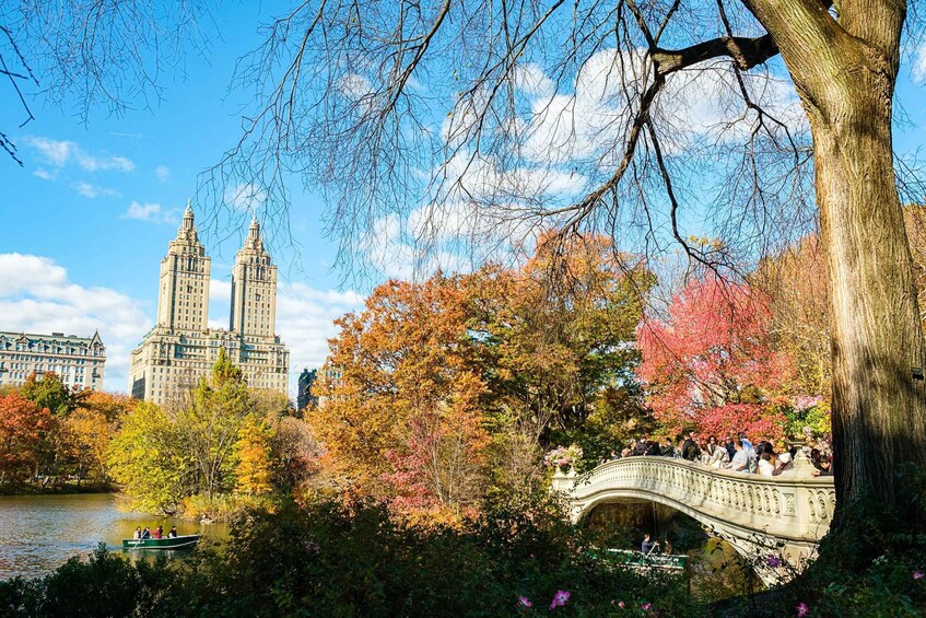 Picture 7 for Activity Central Park Pedicab Tour / Photo Stops