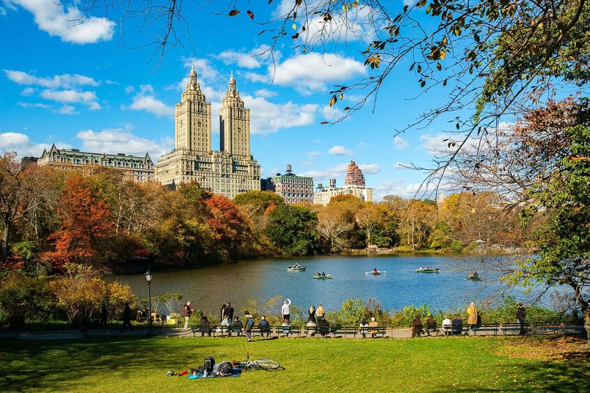 Picture 5 for Activity NYC: Central Park Pedicab Tours From Natural History Museum