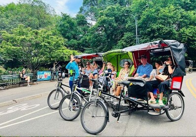 NYC: Private Central Park Pedicab-Touren