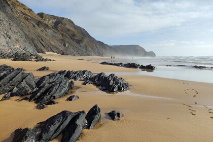 Half Day Nature Walk and Picnic at West Coast Algarve