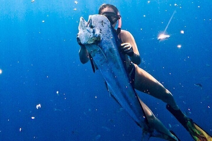 Offshore Fishing or Spearfishing Charter at Playa Herradura