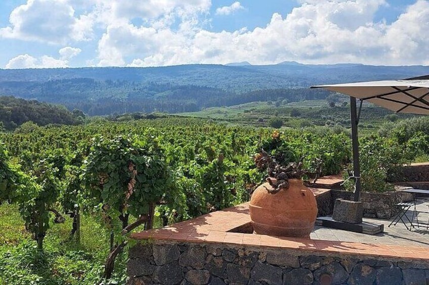 Wine Tasting in Panoramic Winery on Mount Etna