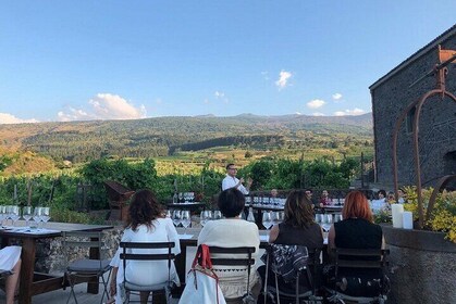 Wine Tasting in Panoramic Winery on Mount Etna