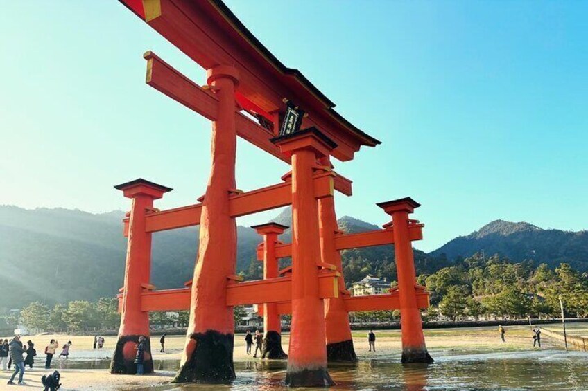 O Torii Gate