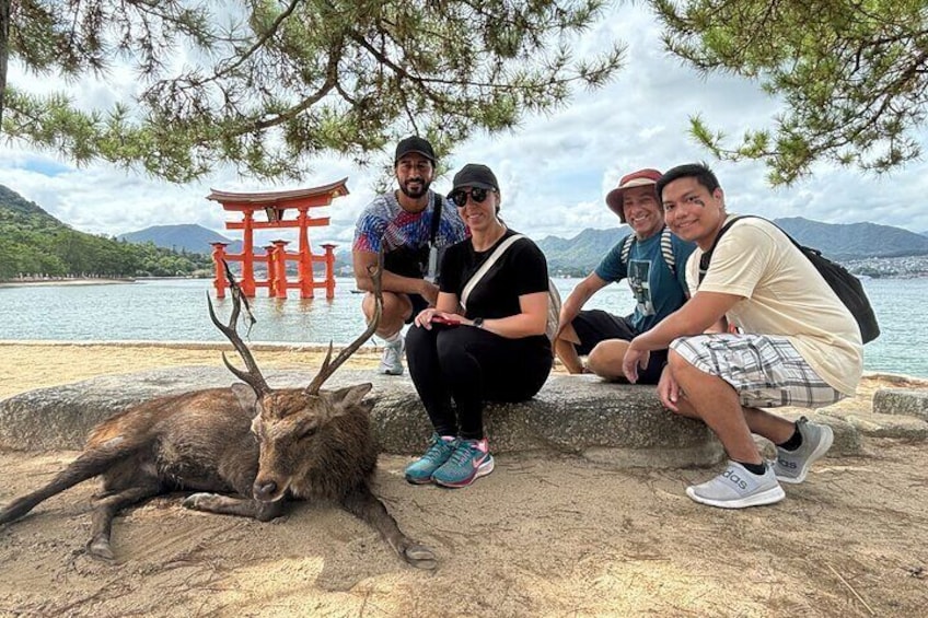 Hiroshima and Miyajima A Walk Through of History and Peace