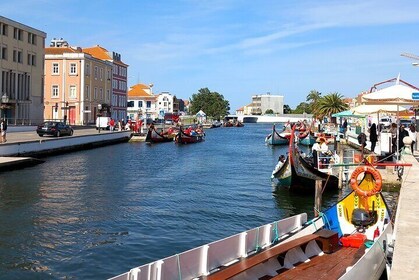 Privé enkele reis Porto naar Lissabon via Aveiro Fátima en Óbidos