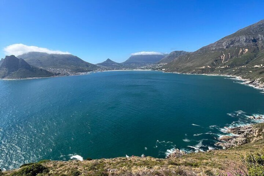 Table Mountain Cape Peninsula and Penguin Colony Tour