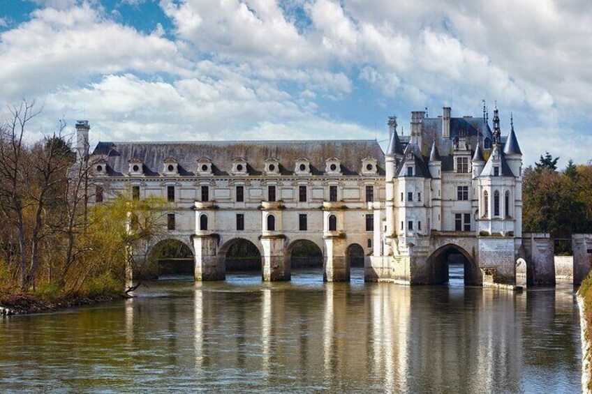 Loire Castles Day Trip and Wine Tasting Private trip from Paris