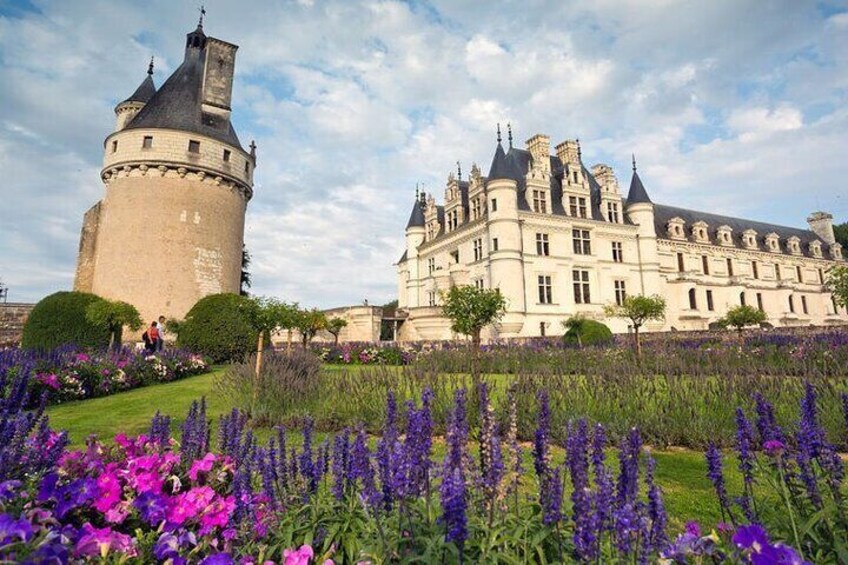 Loire Castles Day Trip and Wine Tasting Private trip from Paris