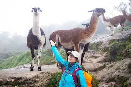 Classic Inca Trail to Machu Picchu 4 Days