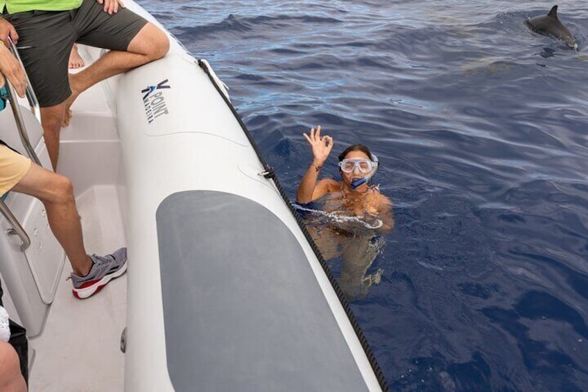 Dolphins and Whales Watching Tour by RIB boat in Funchal