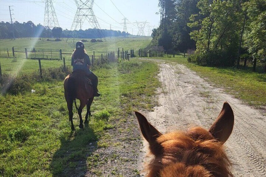 Shaded Trails Horse Ride