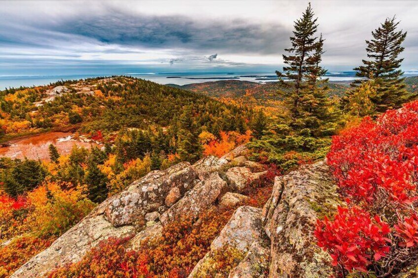 Private Exploration Tour of the Top Spots of Acadia