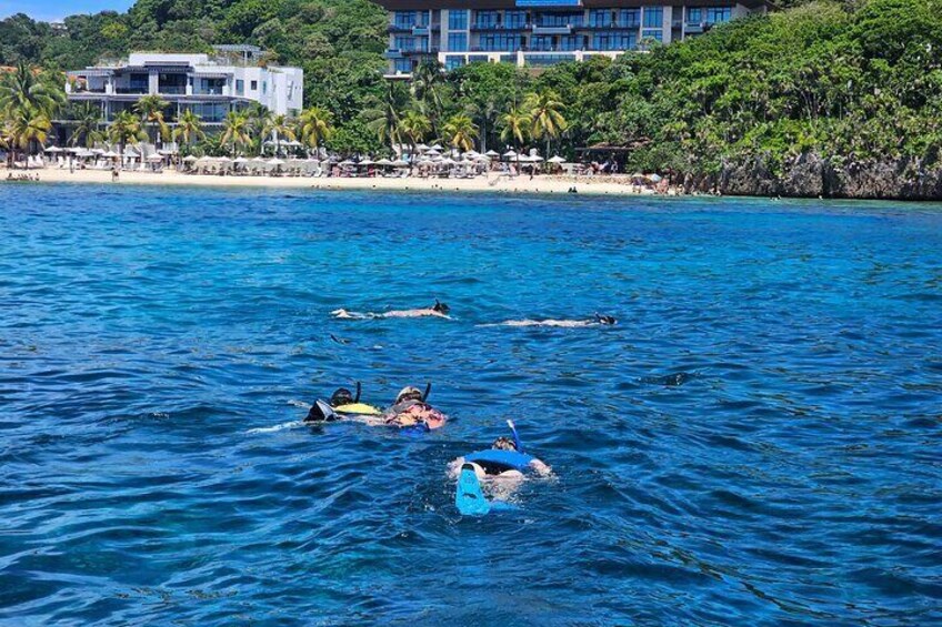 Shore Excursion: Roatan Wildlife Eco-Park & Snorkeling Adventure