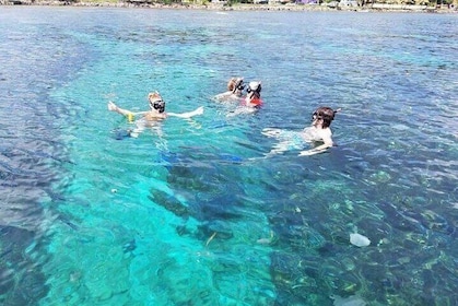 Roatán Wildlife Sanctuary, Chocolate ,Rum Tasting & Snorkel Combo