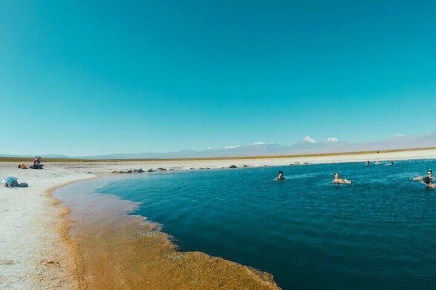 Adventure in Cejar, Ojos del Salar and Tebenquinche in Atacama