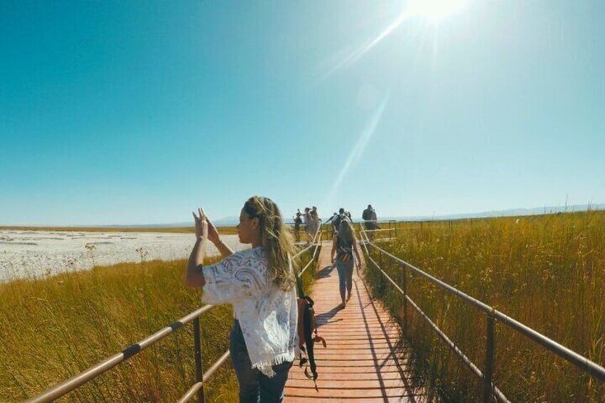 Adventure in Cejar, Ojos del Salar and Tebenquinche in Atacama