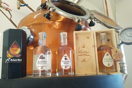 Distillates unique in the world, aromas and flavours of wild Sardinia