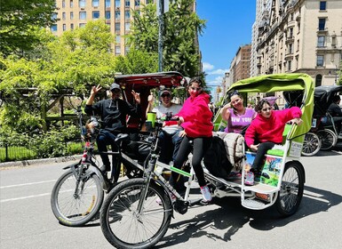 Nueva York: recorrido en rickshaw por Central Park/privado y guiado