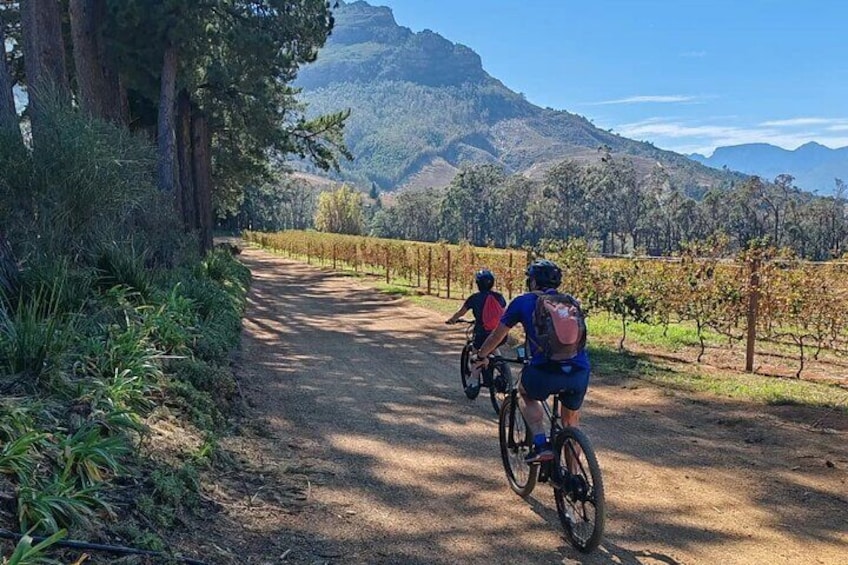 Stellenbosch Shared E-bike & Wine Tour 