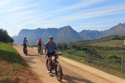 Stellenbosch Shared E-bike & Wine Tour