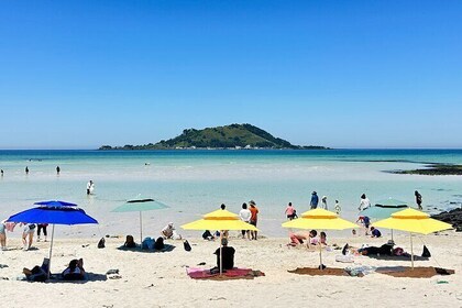 Small Group Tour in West Jeju Healing Island w/Caves & Dolphins