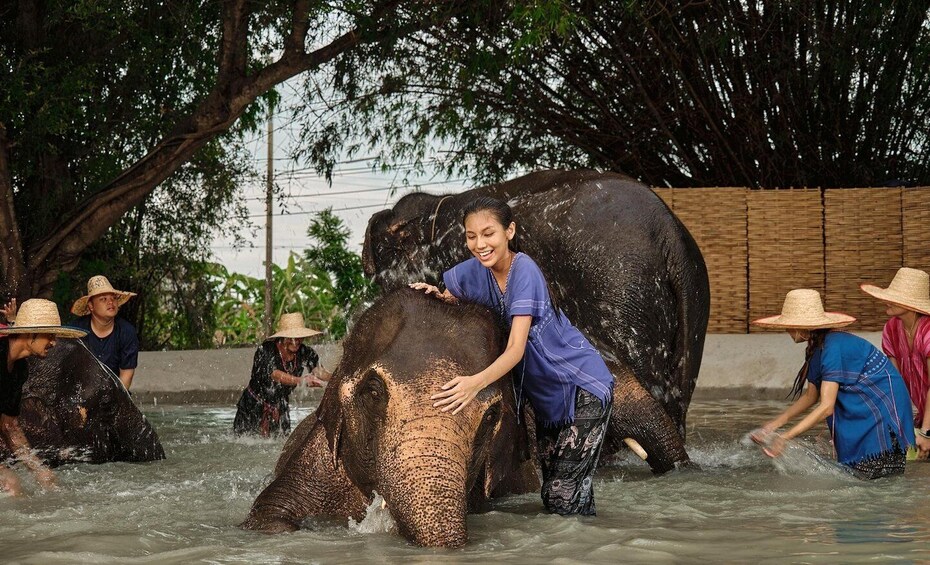 Bangkok Elephant Park: HD Elephant Experience (No Transfers)